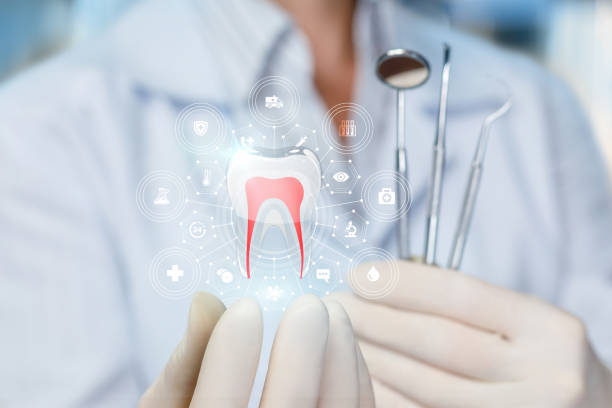 Best Preventive Dentistry  in Fairview Heights, IL